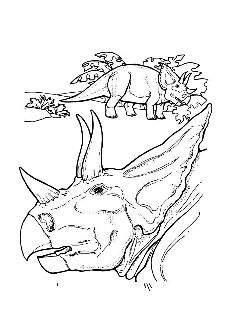 Plansa de colorat cu Dinozauri 15 57